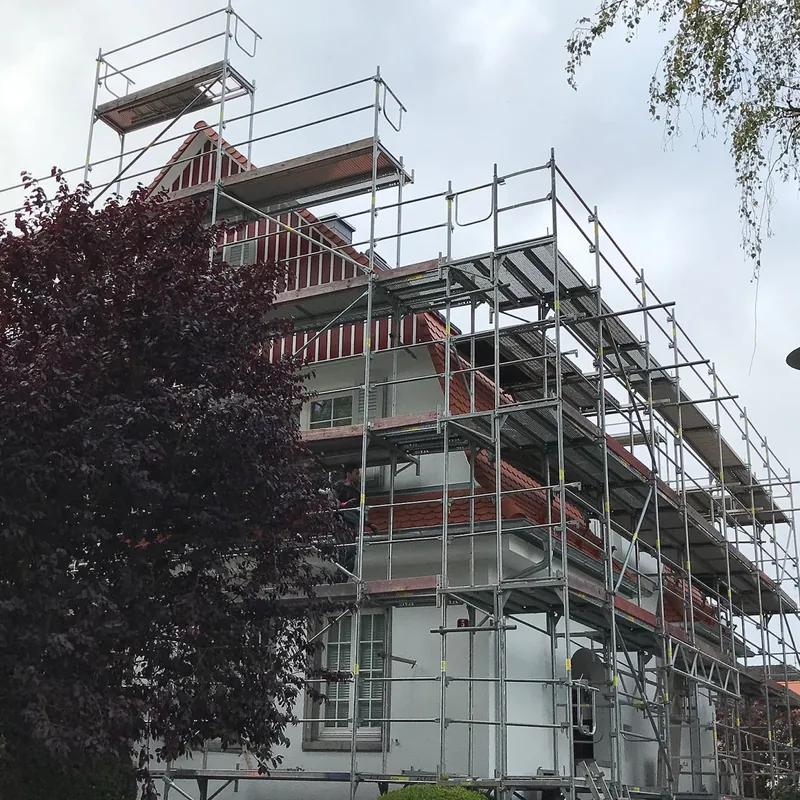 Eingerüstetes Wohnhaus mit Giebel, davor eine Blutbuche
